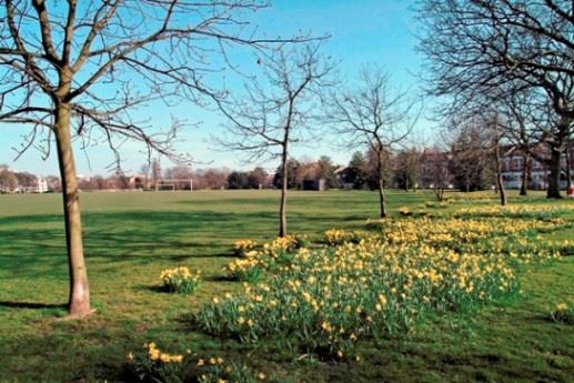 Wandsworth Park (01/05/2019)