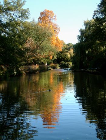 Chiswick House Grounds (01/05/2019)