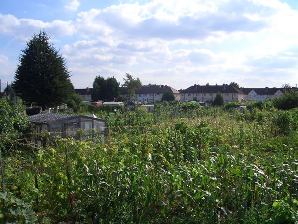 White Hart Lane Allotments (01/05/2019)