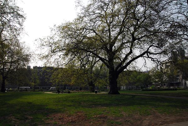 Brunswick Square Gardens (01/05/2019)