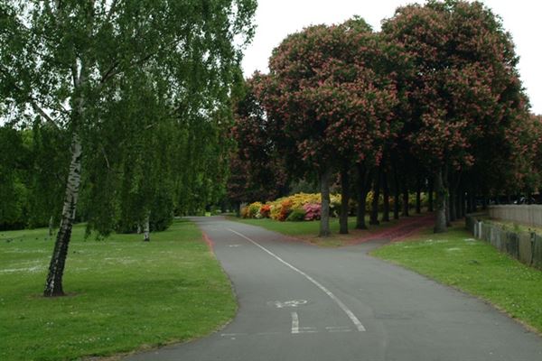 Valentines Park (01/05/2019)