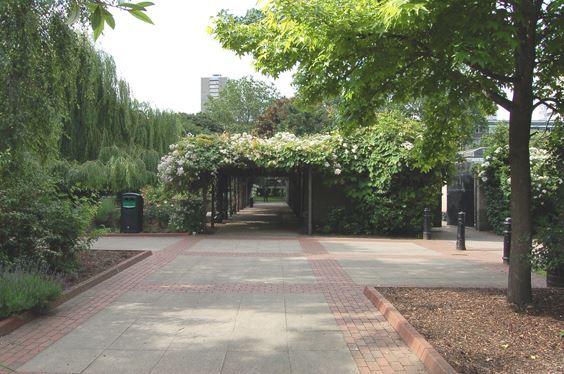 King Square (01/05/2019)