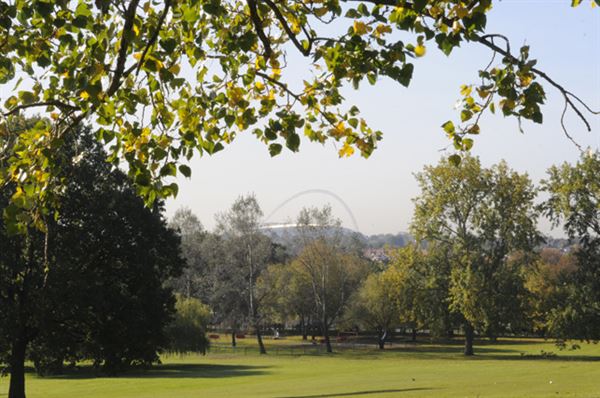 Silver Jubilee Park (01/05/2019)