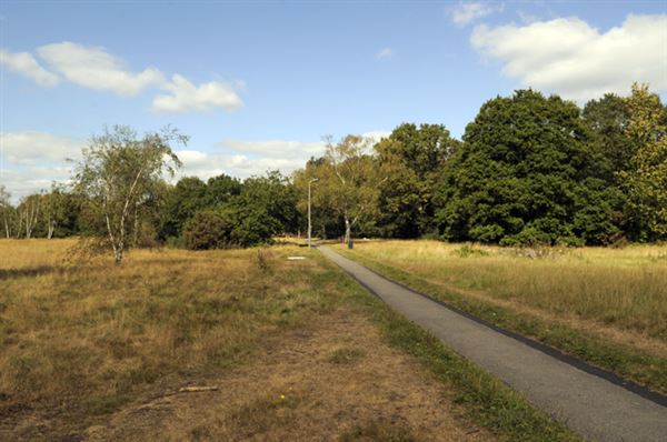 Barnes Common (01/05/2019)