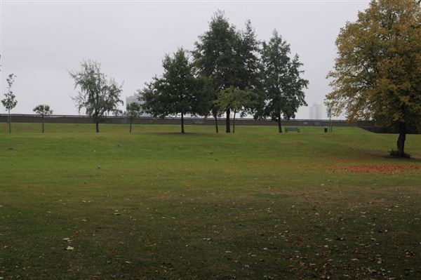 Royal Victoria Gardens (01/05/2019)