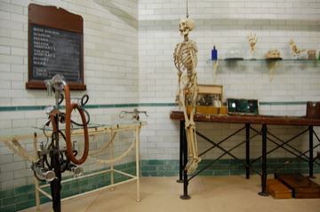 Victorian Operating Theatre (01/05/2019)