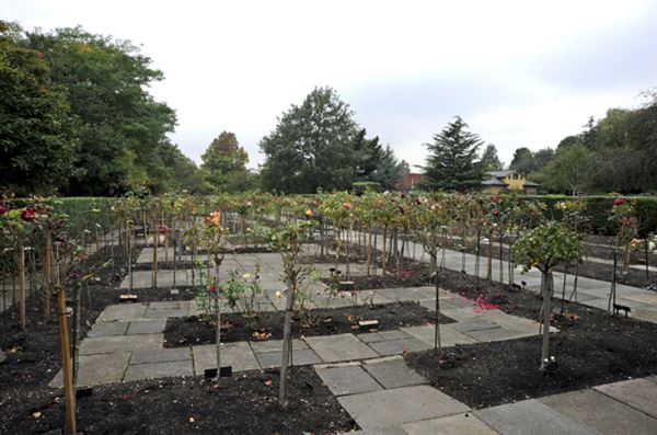 Croydon Cemetery & Crematorium (01/05/2019)