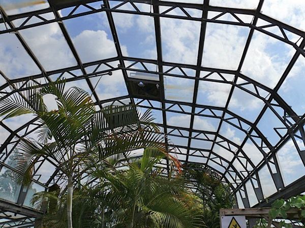 Wolves Lane Horticultural Nursery (01/05/2019)