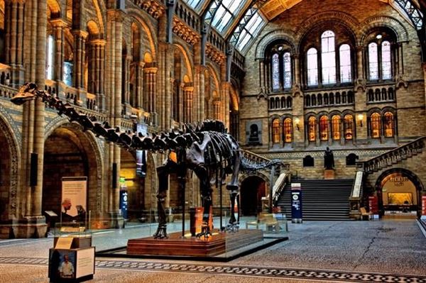 Natural History Museum (01/05/2019)
