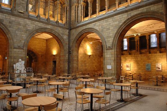 Natural History Museum (01/05/2019)