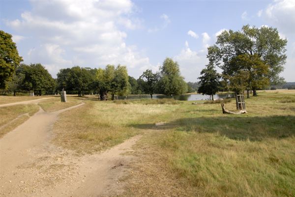 Richmond Park (01/05/2019)