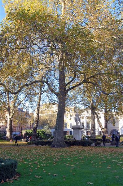 Cavendish Square (01/05/2019)