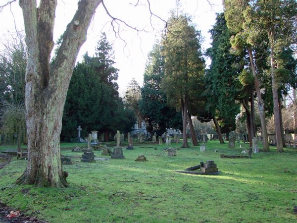 Richmond Old Cemetery (01/05/2019)