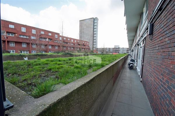 Samuda Estate (01/05/2019)