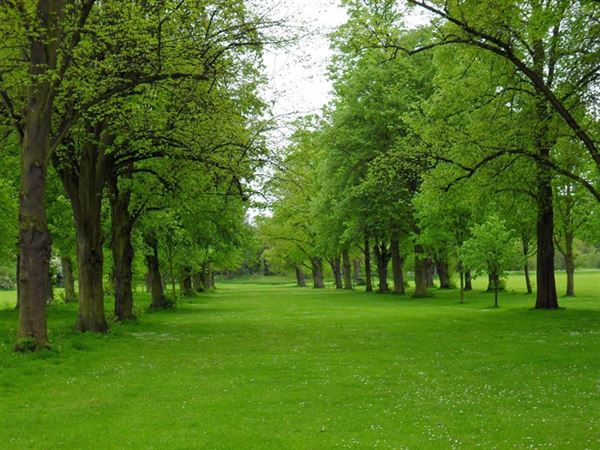 Foots Cray Meadows (01/05/2019)