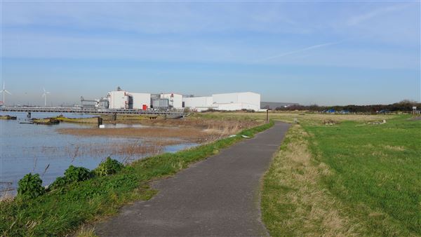 Rainham Marshes - Thames Side (20/04/2018)