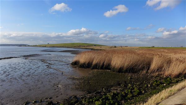 Rainham Marshes - Thames Side (20/04/2018)