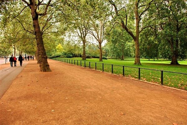 St James's Park (01/05/2019)