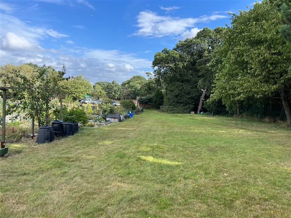 Grange Lane Allotments (01/09/2023 - Credits: submitted by: Tyrrell  Evans)