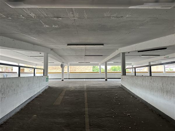Bexleyheath Multi-Site (13/11/2025 - Credits: submitted by: Liz Charlton)