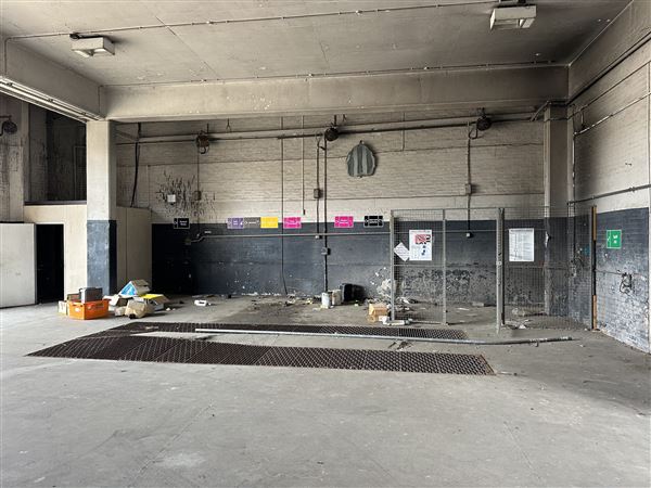Bexleyheath Multi-Site (13/11/2025 - Credits: submitted by: Liz Charlton)