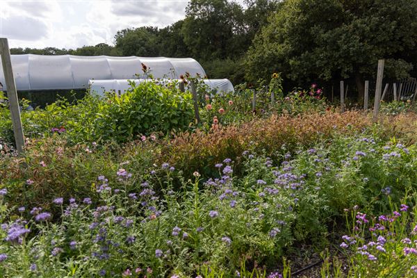 Soul Farm (25/03/2026 - Credits: submitted by: Jo Thompson)