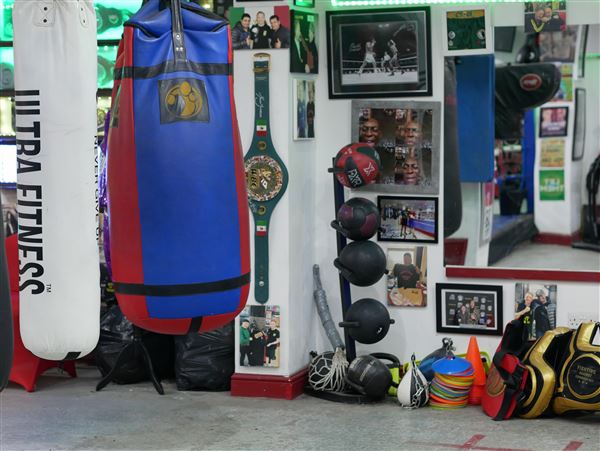 Ringtone Boxing Gym (15/06/2026 - Credits: submitted by: Nerice Brosnan)