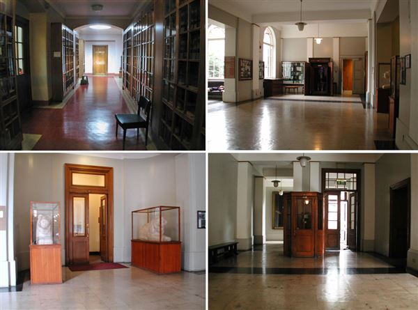University College London (01/05/2019)