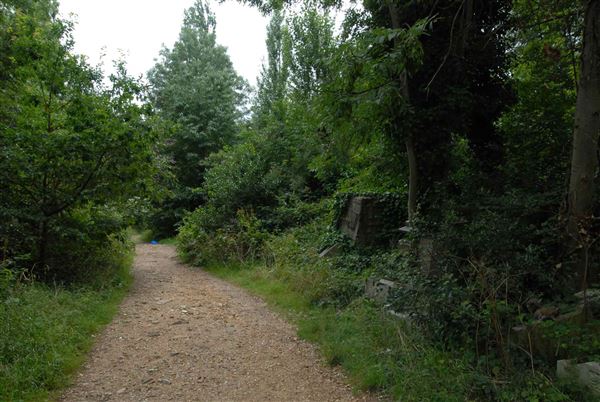 Abney Park Cemetery (01/05/2019)