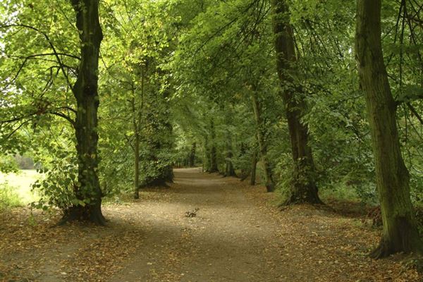 Hampstead Heath (01/05/2019)