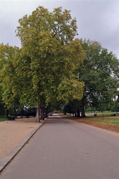 Hyde Park (01/05/2019)