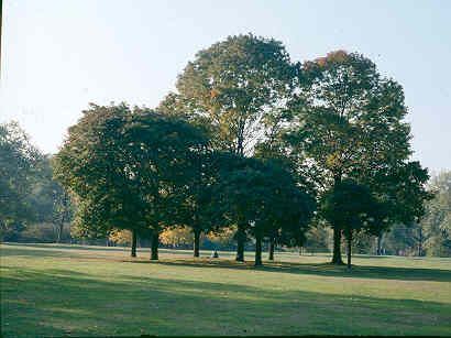 Hyde Park (01/05/2019)