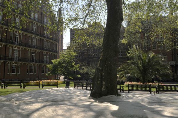 Mount Street Gardens (01/05/2019)