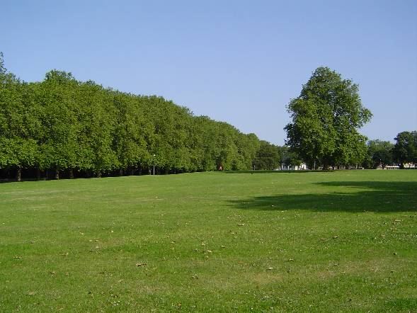 Hackney Downs Park (01/05/2019)