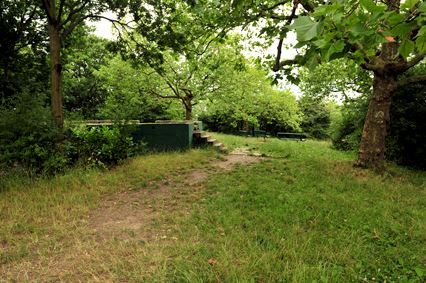One Tree Hill, Honor Oak Park (01/05/2019)