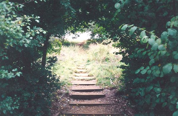Horsenden Hill Park (01/05/2019)