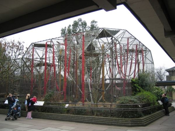 London Zoo (01/05/2019)