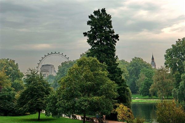 St James's Park (01/05/2019)