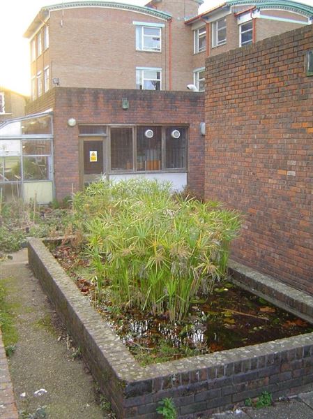 Clapton Girls' Academy (01/05/2019)
