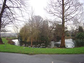 Springfield Park (01/05/2019)