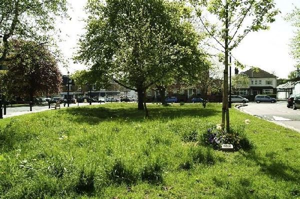 Winchmore Hill Green (01/05/2019)