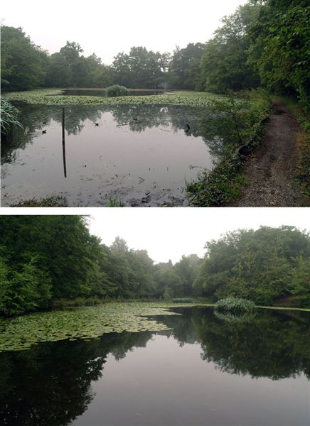 Keston Ponds (01/05/2019)