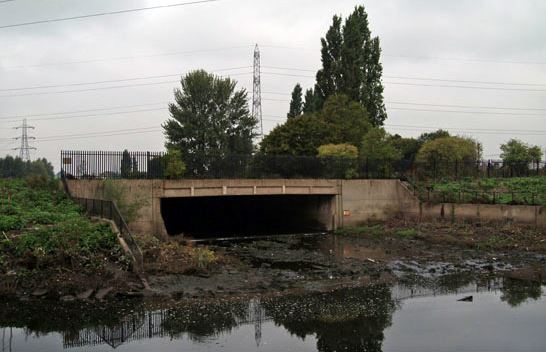Hackney Marshes (01/05/2019)