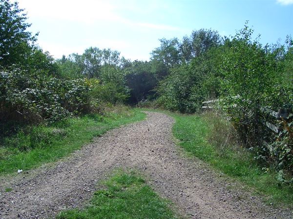 Tottenham Marshes (01/05/2019)