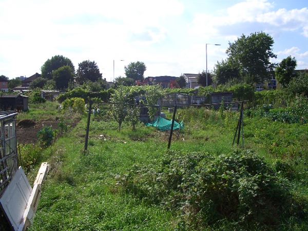 White Hart Lane Allotments (01/05/2019)