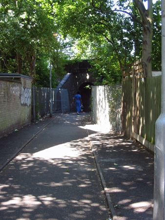 Steele Road Alley (01/05/2019)
