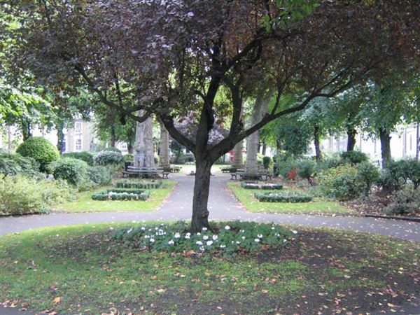 Albion Square (01/05/2019)