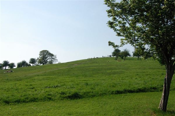 Primrose Hill (01/05/2019)