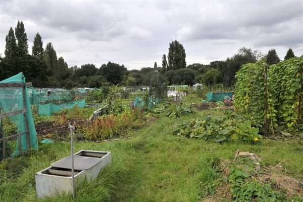 Birchen Grove Allotments (01/05/2019)