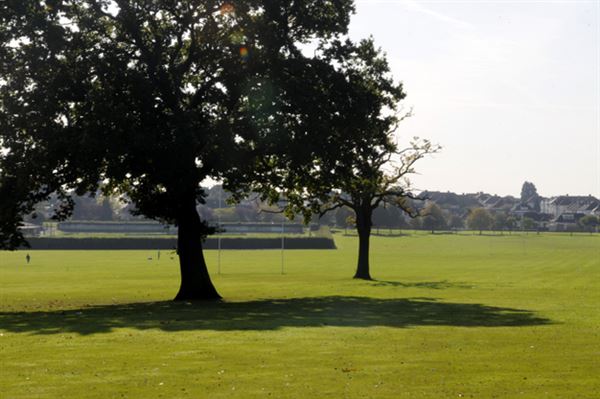 Silver Jubilee Park (01/05/2019)